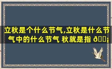 立秋是个什么节气,立秋是什么节气中的什么节气 秋就是指 🐡 什么